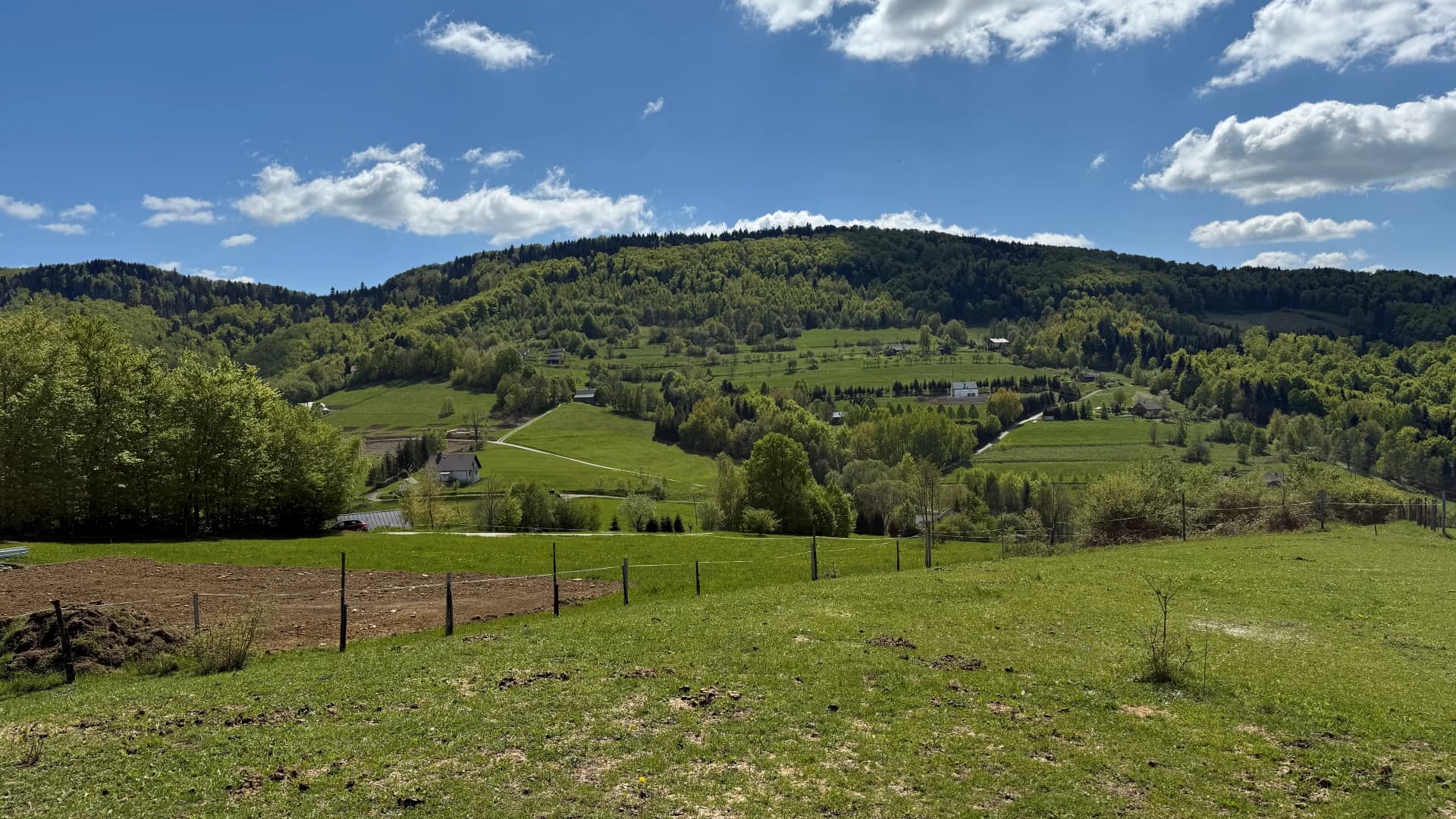 Widok 1