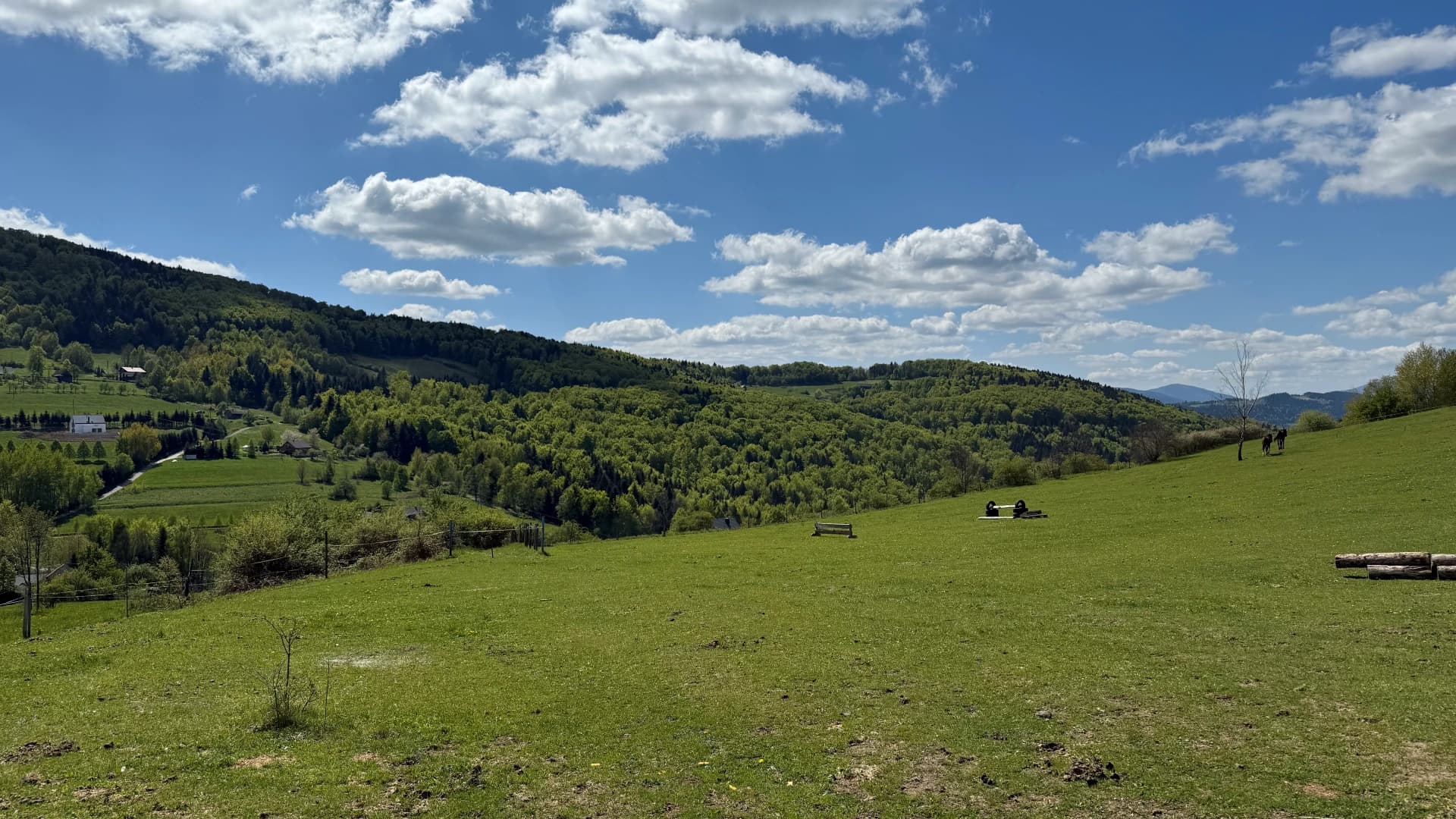 Widok 2