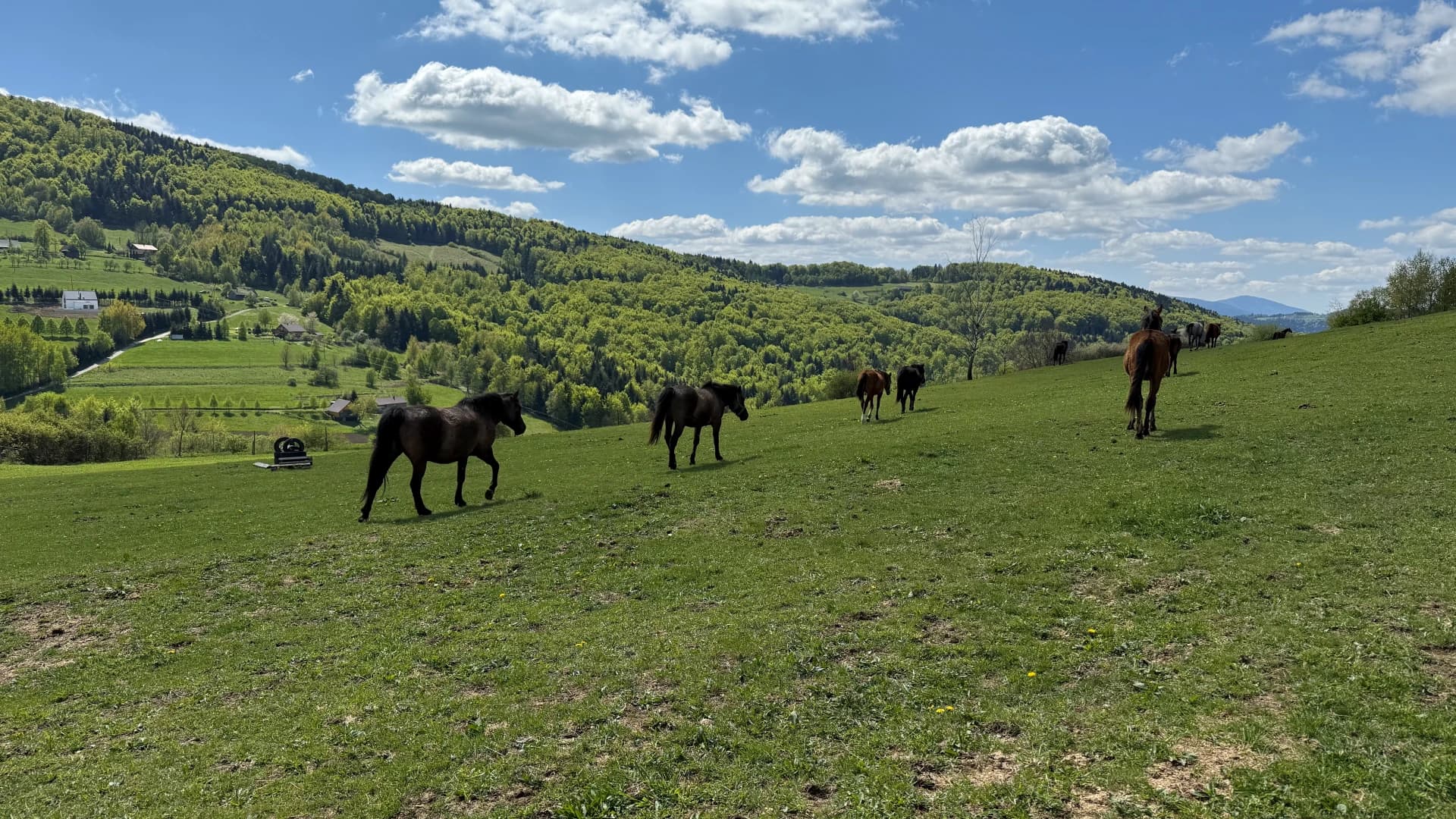Widok 3