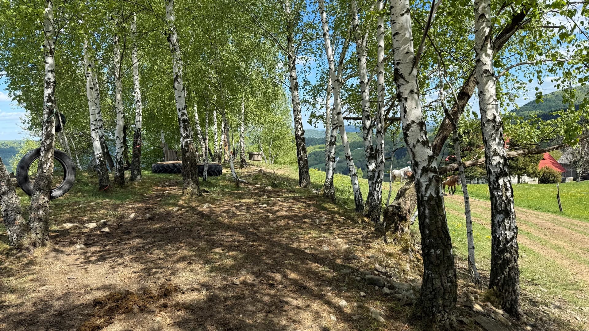 Widok 4