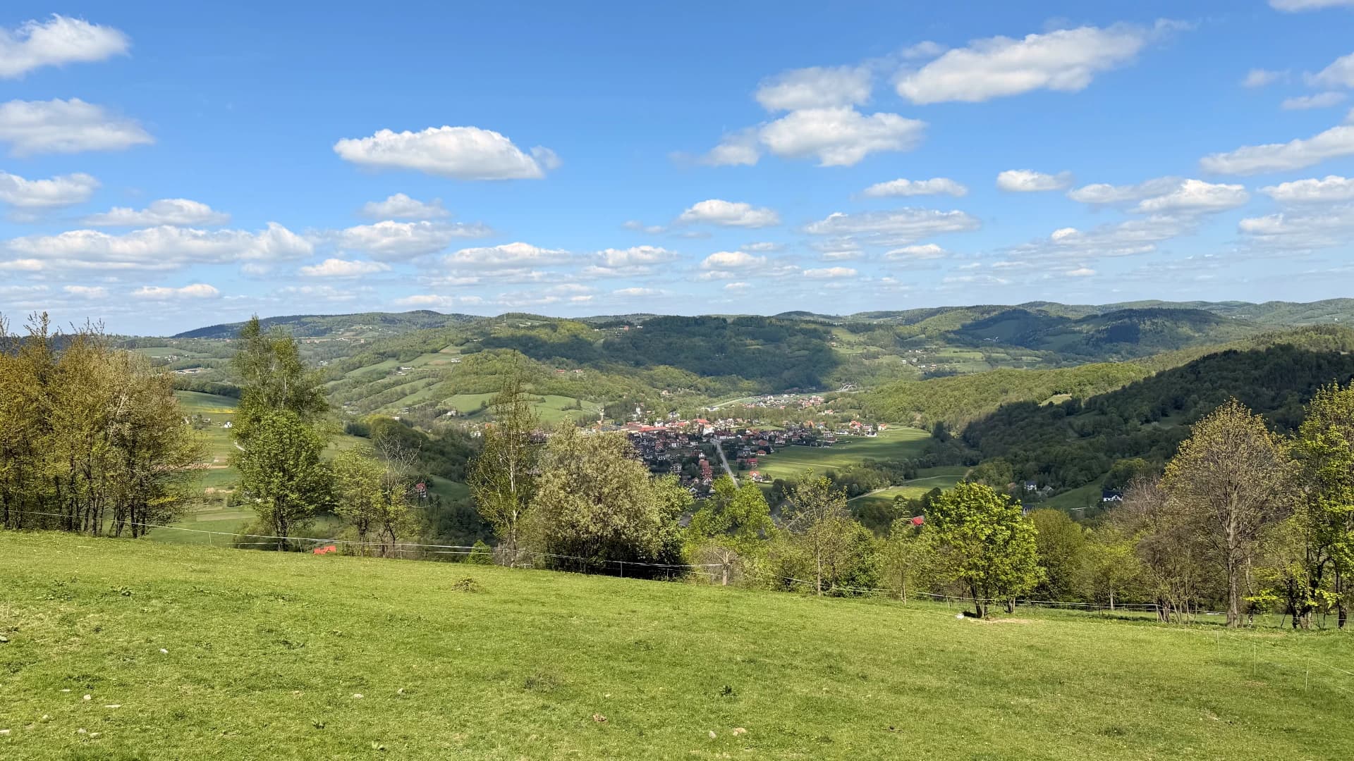 Widok 5