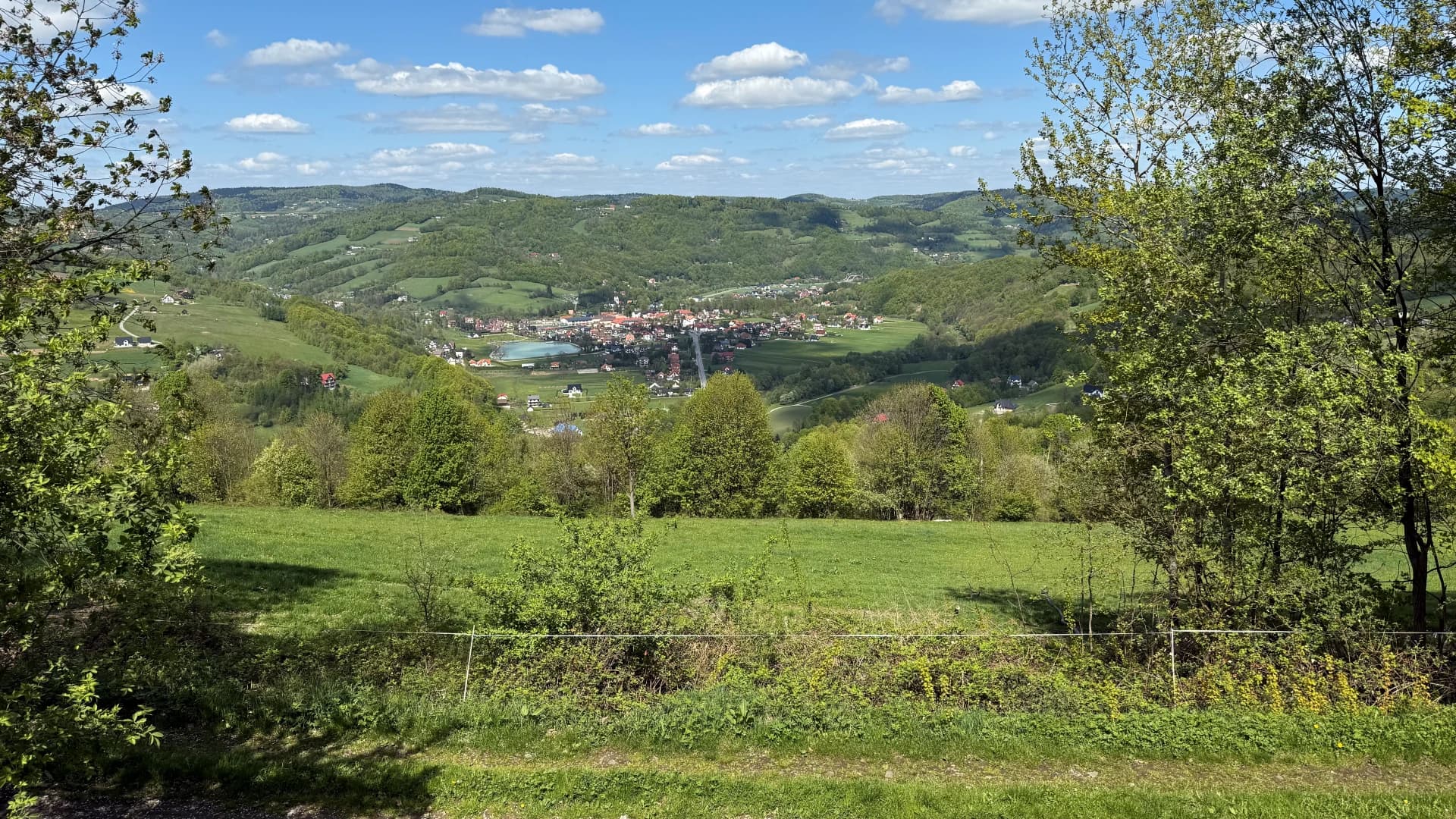 Widok 6
