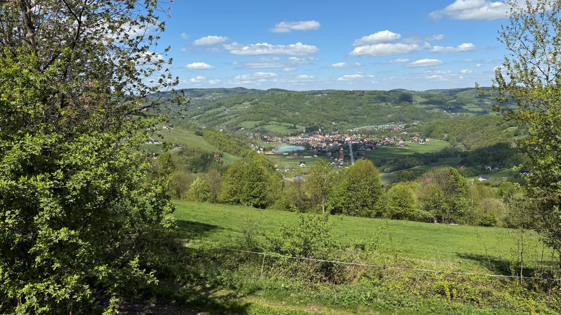 Widok 7