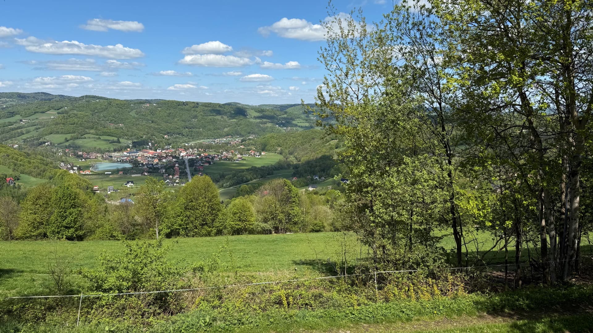 Widok 8
